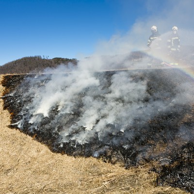 Einsatz 06-2021: f2 Röthis Nidiga xy - Wiesenbrand