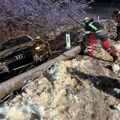 Einsatz 16 - 2021: t1 Röthis L70 Viktorsbergerstraße - Baum verlegt Straße