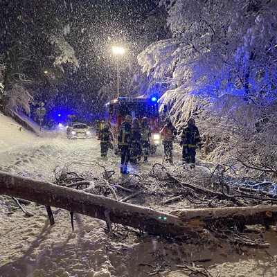 Einsatz 19 - 2021: t1 Röthis Viktorsbergstraße Rebhalde - Baum verlegt Straße