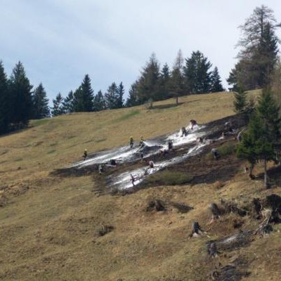Einsatz 04-2017: f5 viktorsberg allmeinweg allmein alpe wiesenbrand > kdt. vor ort