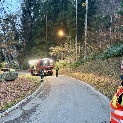 Einsatz 14 - 2024: t1 Röthis Wingatweg xy (Tierrettung) Hund steckt in Kanalrohr fest.
