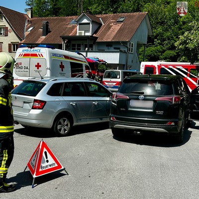 Einsatz 06 - 2025: r1,t2 Austraße - [V.U.] PKW vs. PKW