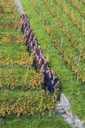 20170930_Feuerwehr Röthis Gruppenfotos_0314.jpg