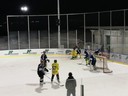 Eishockeyderby (18).jpg