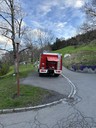 IMG_1946.jpeg