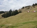 IMG_20170401_124815.jpg