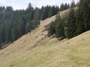 IMG_20170401_124824.jpg