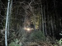 IMG_3642.jpeg