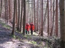 IMG_3720.JPG