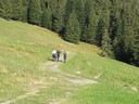 IMG_4959.JPG