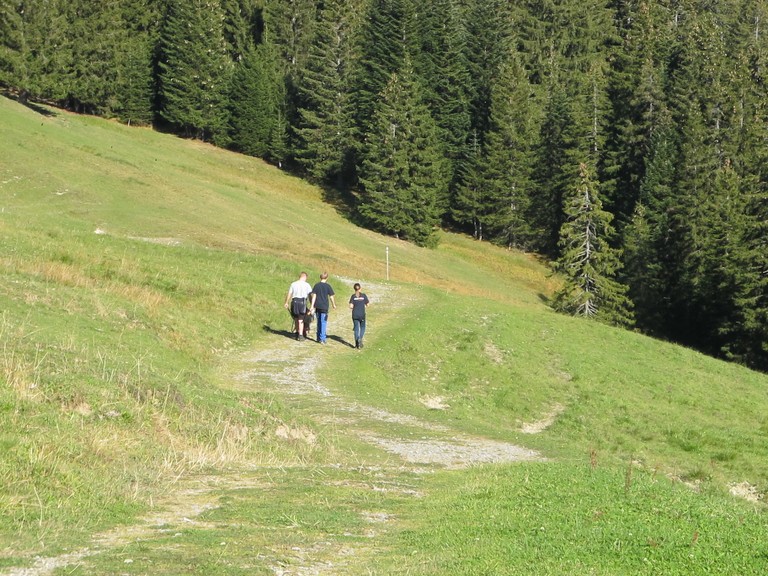 IMG_4959.JPG