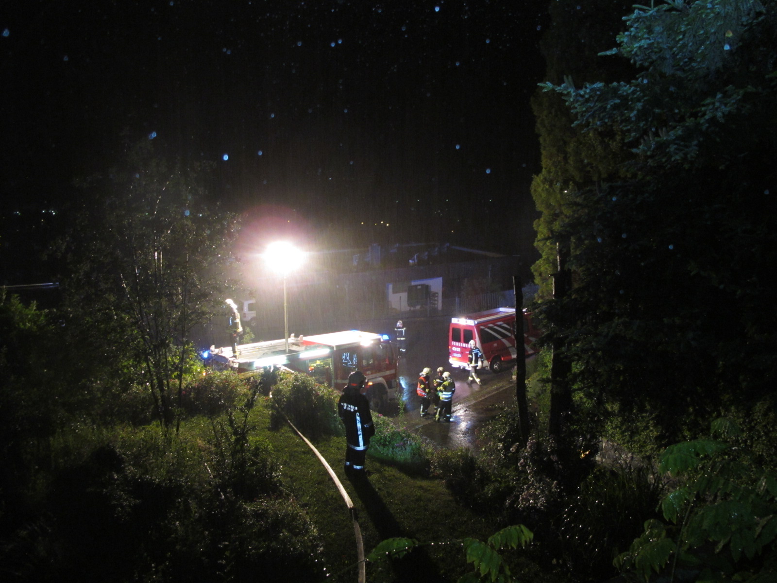 IMG_5652.JPG