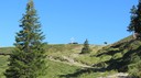 IMG_6104.JPG
