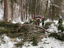 IMG_6132.JPG