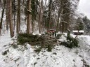 IMG_6133.JPG