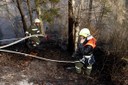 Waldbrand14.jpg