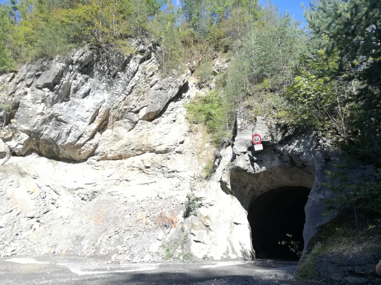 Wandertag (20).jpg