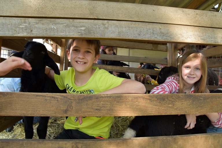 Kinder am Bauernhof © Marktgemeinde Rankweil
