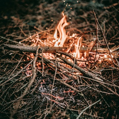 Erhöhte Waldbrandgefahr