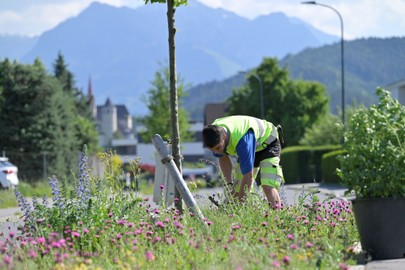 Klimastrategie Rankweil 2040