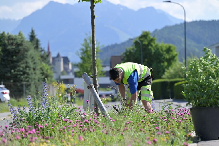 Naturnahe Begrünung, gezielte Entsieglung und die Umgestaltung sogenannter Hitzeinseln sind ein Teil der Klimastrategie Rankweil 2040 © Bernd Oswald