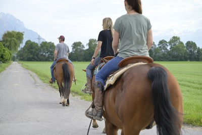 Pferdehaltung: Rankweil setzt auf gutes Miteinander Pferdehaltung: Rankweil setzt auf gutes Miteinander