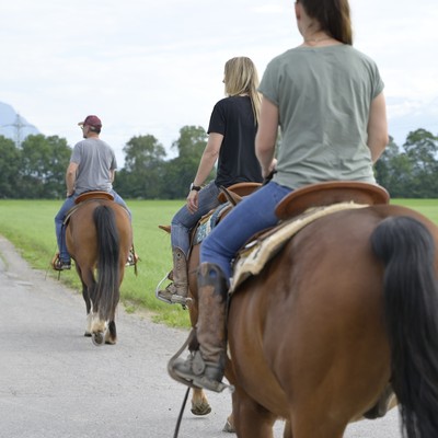 Pferdehaltung: Rankweil setzt auf gutes Miteinander