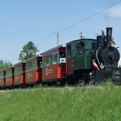 Rankweiler Seniorenausfahrt 2024 Rhein-Schauen, Lustenau