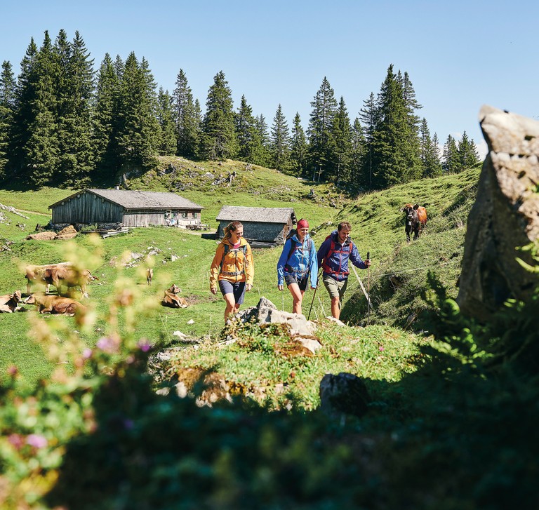 Wandersammelpass von 1. August bis 30. September 2024 © Alex Kaiser - Bregenzerwald Tourismus