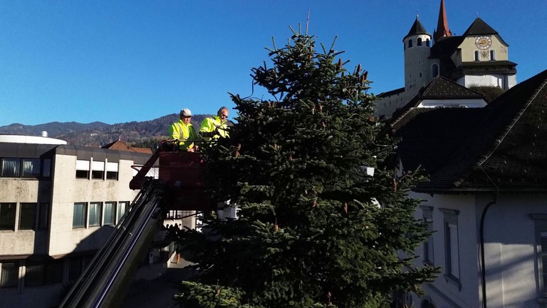 Bauhofmitarbeiter beim Schmücken des Weihnachtsbaumes am Marktplatz © MG Rankweil
