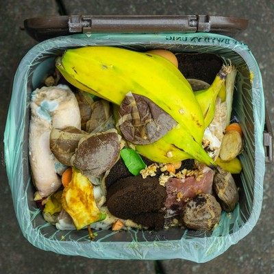 Kein Plastik im Bioabfall