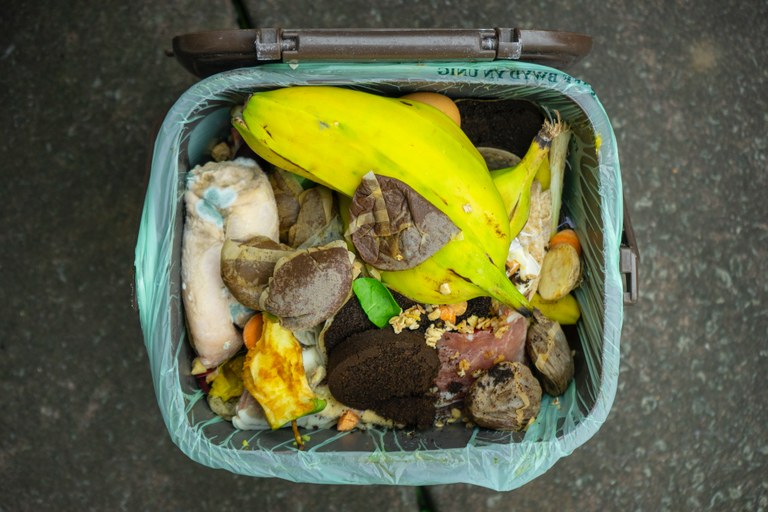 kein Plastik in den Biomüll © Gareth Willey von Pexels