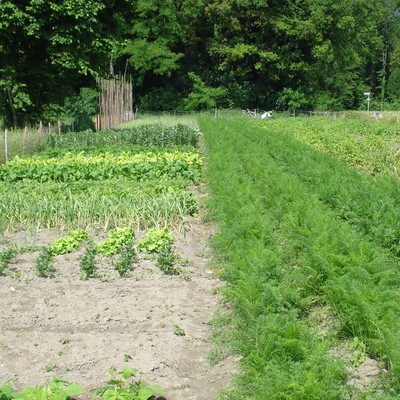 Landwirtschafts&shy;förderungen