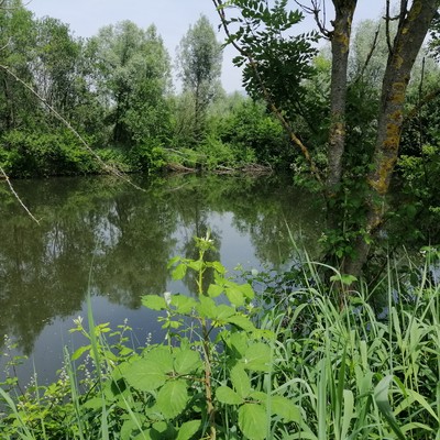 Biotopinventar: Unsere Naturjuwele in Rankweil