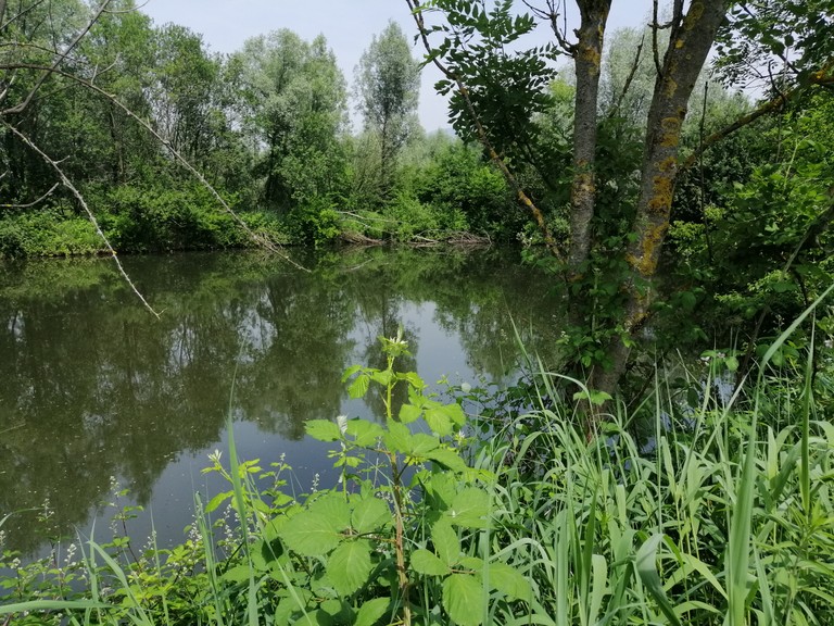 Biotop Paspels © Marktgemeinde Rankweil