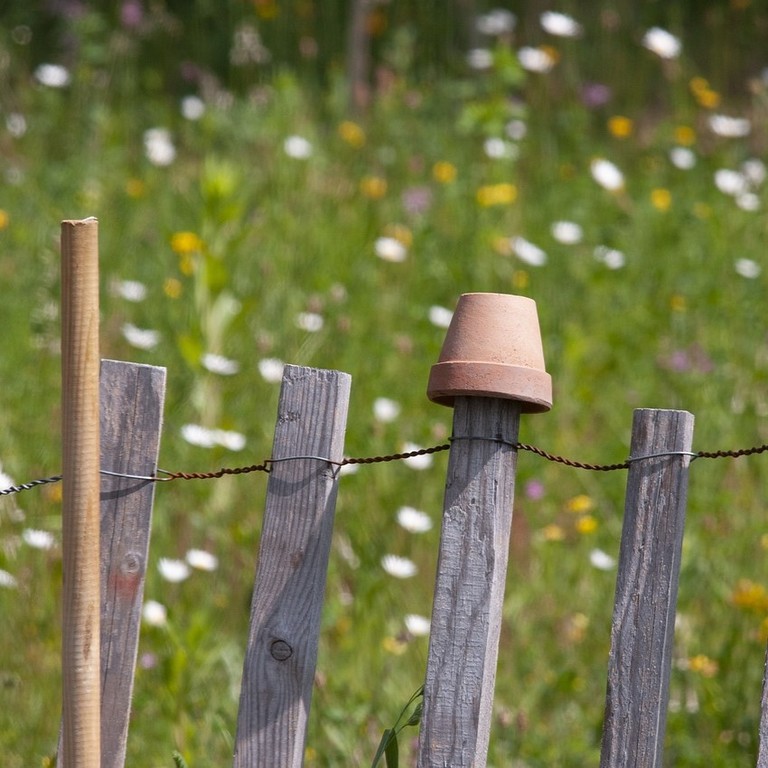 Naturnah im eigenen Garten © Pixabay