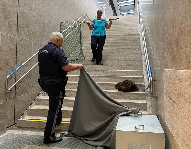 Bibereinsatz am Bahnhof Rankweil © Bundespolizei Rankweil