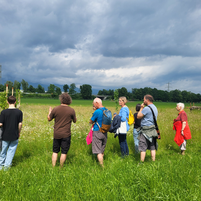 NatuRankweil: Blühflächen für mehr Artenvielfalt- ein Rundgang!