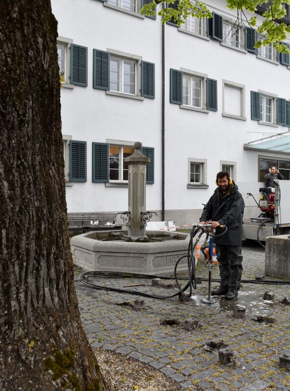Mittels einer speziellen Gerätschaft wurden Wurzeln und Boden belüftet und gedüngt © Marktgemeinde Rankweil