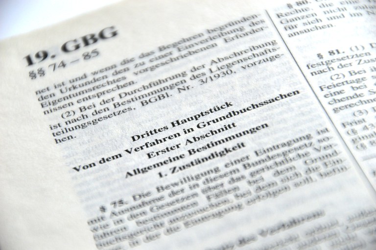 Auszug Grundbuch
