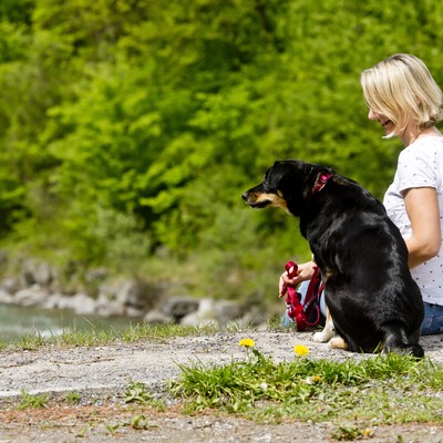 Interviews zum Thema Hund und Mensch