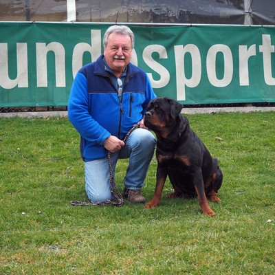 „Mehr den Hundeführer/ die Hundeführerin schulen als den Hund“