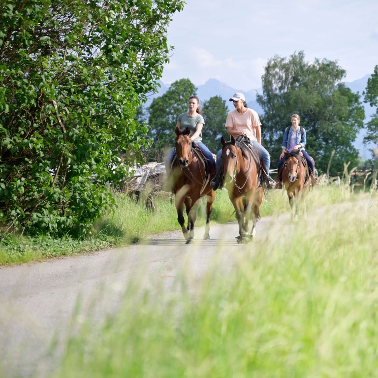 Sattelfest durch Rankweil - Gesetzliche Bestimmungen © Marktgemeinde Rankweil / Bernd Oswald