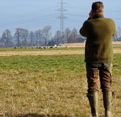 Jagd und Reitsport: Wie das Miteinander funktioniert Jagd und Reitsport: Wie das Miteinander funktioniert