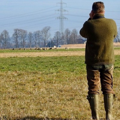 Jagd und Reitsport: Wie das Miteinander funktioniert