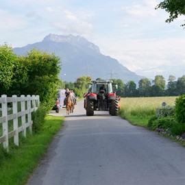 Reitverbotszonen