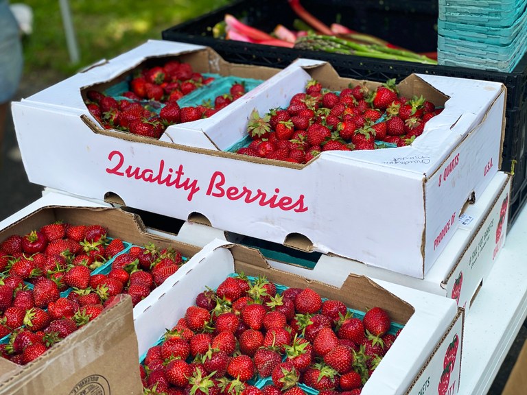 Erdbeeren in Karton © Liz Caldwell Unsplash