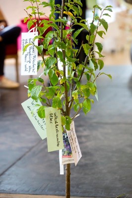 10 Jahre Haus Klosterreben © Dietmar Mathis (53).jpg