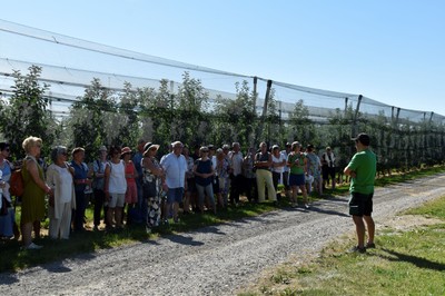 Langenargen und Oberdorf 2022 © Marktgemeinde Rankweil (5).JPG