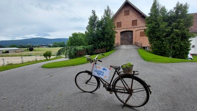 Bänkle Hock © Angelika Frick (8).jpg